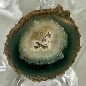 Stalactite Slice Polished Crystal Cave Mineral Rind Las Torres Mine Uruguay 1.2"